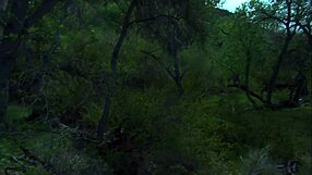 Taylor Rain Gets Rough Anal Fucking In Doggystyle