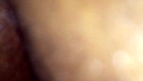 Intense ass fucking in Tampa