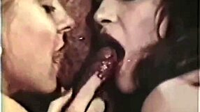 vintage seventies group porn shoot