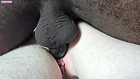 while my husband is away his friend my lover visits and we end up fucking