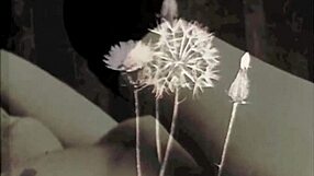 Tournage porno groupe vintage années 70