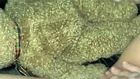 Slutty Elite Teen Wants BBC to Penetrate Wet Tight Pussy and Creampie