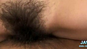 fuck my hairy pussy vol 25 compilation