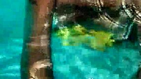 puta mexicana mamando verga en la piscina sin miedo ser vista por los vecinos