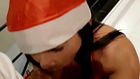 Momento Natalino Gozar E Festejar