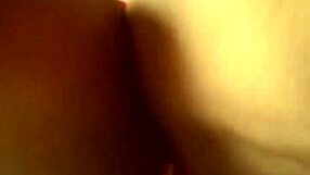 Its Candy Everywhere