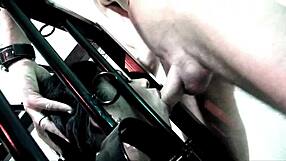 Big Boobed Alexis Silver And Michelle Thorne In Ffm Bdsm Threesome.