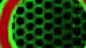 insatiable nympho got a bbc party rome