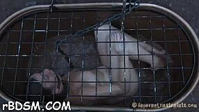 t beauty moans, 'fuck my holes!' in the bdsm session