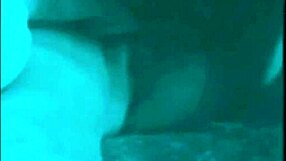 Pornostalgia Vintage Lesbians Licking Hairy Beavers