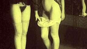 Pornostalgia Vintage Lesbians Licking Hairy Beavers