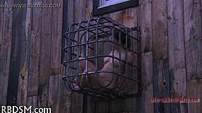 Bdsm electro castigation