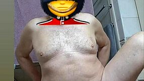 zea812 update 186 on jun 26 2025