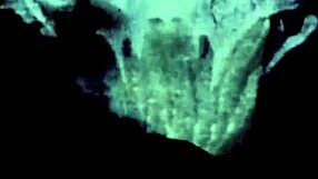 Pornostalgia Vintage Lesbians Licking Hairy Beavers