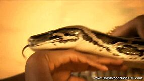 Exotic Oriental Babe Teasing And Dancing Sensually With Snake Lover From The Far East