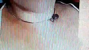 twetty the milf shares her seductive story in intimate moments