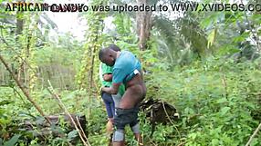 did you see me fuck that chubby city babe on our farm land hardcore?