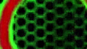 Sara Jay shakes her cougar ass in lingerie, fingering to orgasm solo.