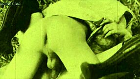 Dark Lantern Entertainment Presents My Secret Life Confessions