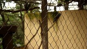 these two tourists crossing paths in the park could explore hidden places and create memorable moments