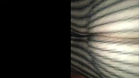 Fucking in fishnet lingerie with bbw latina milf prostitute