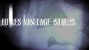 Dark Lantern מציגה הודאות מחיי הסודיים שלי