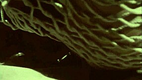 Wonderful vintage pornography retro orgy with hairy beavers 😍