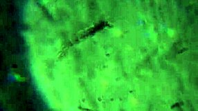 More of My Cum Reaching You