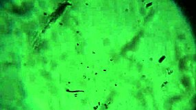 More of My Cum Reaching You