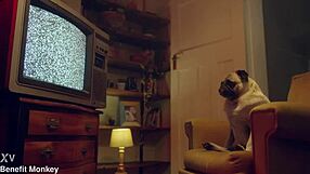 benefit monkey liz rainbow ends up with mouthful of semen 😏