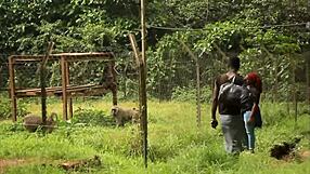 these two tourists crossing paths in the park could explore hidden places and create memorable moments