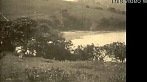 دارك لانترن تقدم اعترافات إيروتيكية لنساء العالم القديم