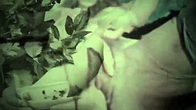 Dark lantern entertainment presents the erotic confessions of a victorian gentleman