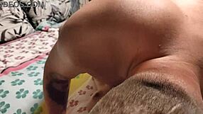 Storepupper jente knullet i misjonær med sæd på behåret fitte