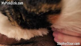 Furry Halloween Blowjob In Costume Fetish Scene