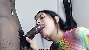 She Sucks BBC And Gets Penetrated Everywhere!