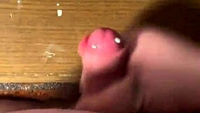 Look at my small pierced cock, he says