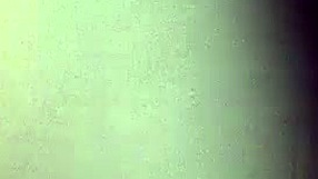 in the wood only with g-string and fishnet stockings.