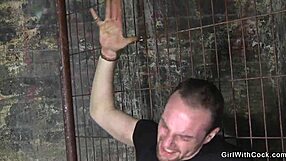 Three TS ladies tease man anally