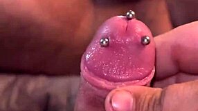 Look at my small pierced cock, he says