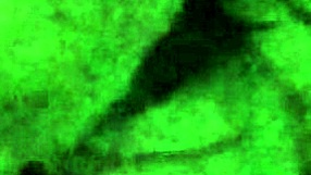 Cheating bbw wife sucks and fucks bbc bull