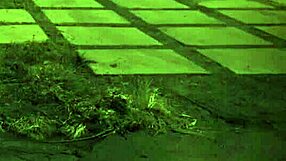 trampling domination unless youre from the sixties and dig that