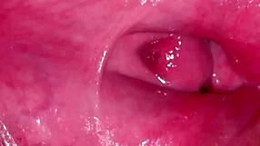 Amatorska różowa cipka 244 dni po utracie dziewictwa