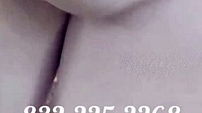 Exhibitionists Bone Parkway