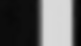 did you see me fuck the neighbor on the terrace?