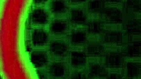 Rome Major floods Alexis Golden's mouth with cum while fucking her hard!