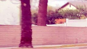 Slender pigtail teen enjoys stranger's dick