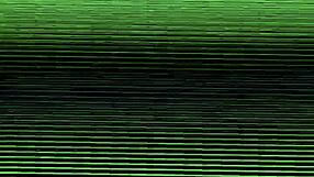 amateur video captured on july 18, 2016, at 10:42:23