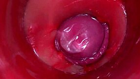 Camera Inside Pussy Powerful Cum Internal ASMR