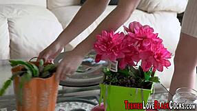 teen rides huge black cock hard